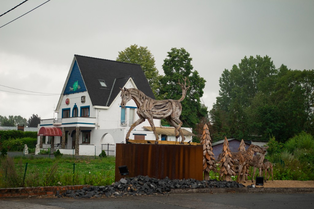 Portfolio photo 6