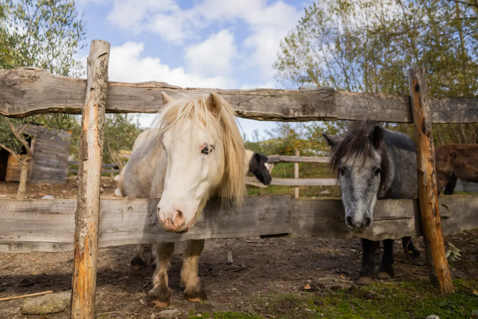 Architecture Photography