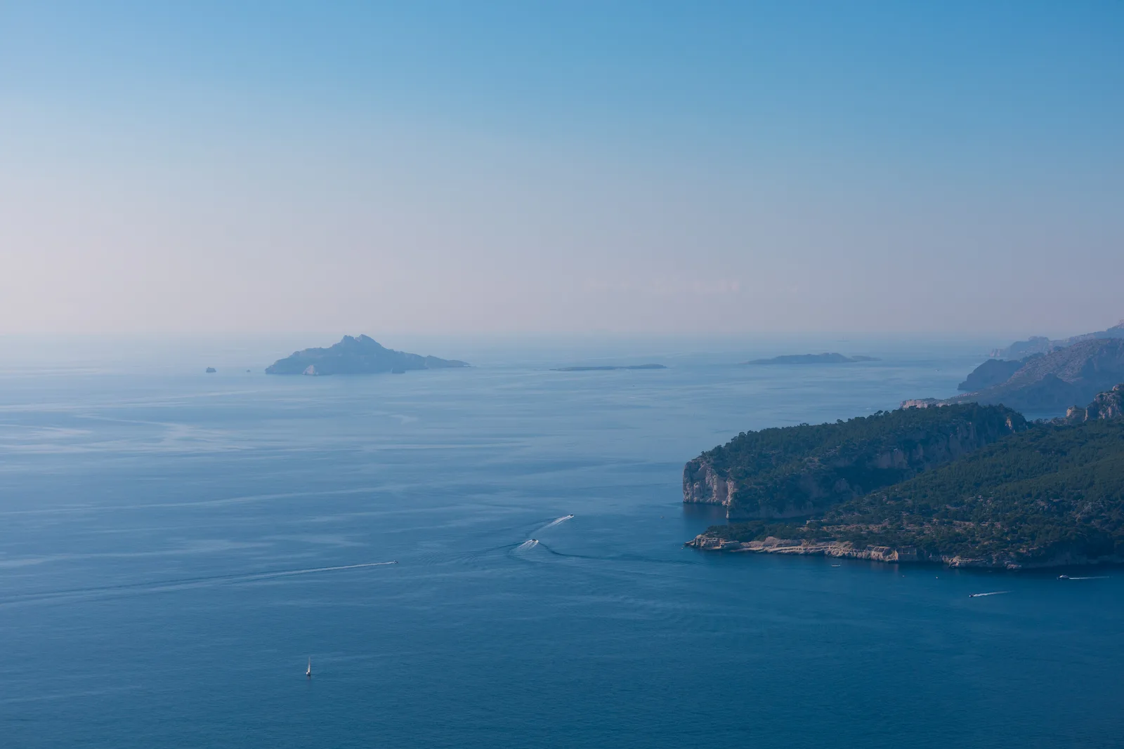 Wildlife Photography